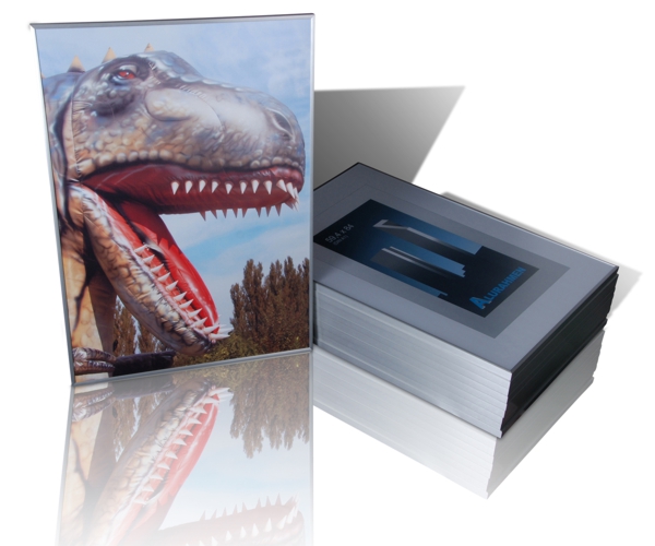 Alu-Bilderrahmen Trend